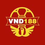 vn188bet profile picture
