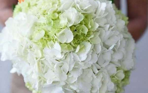 Hoa cưới cẩm tú cầu cầm tay cô dâu đơn giản mà ý nghĩa