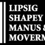 The Lipsig Firm Profile Picture