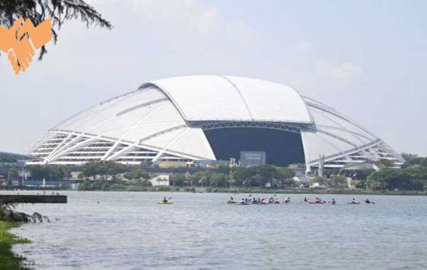 Quality, volume of Singapore Sports Hub's events calendar, programming fell short of expectations
