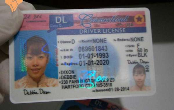 The Importance of having a Driver License when driving a Car