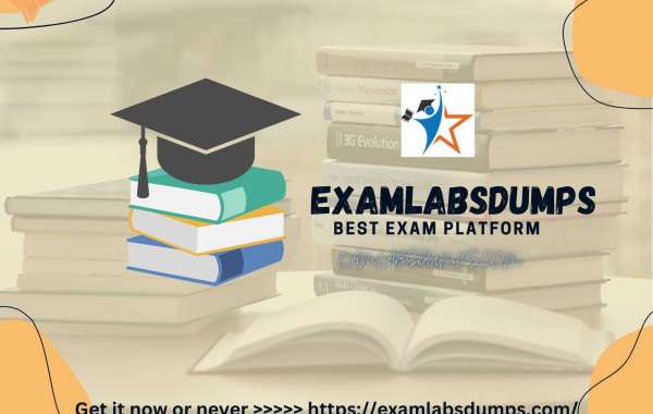 The Road to Excellence: Exam Labs Dumps Edition